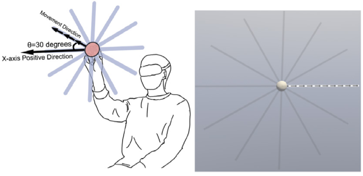 Exploring and Modeling Directional Effects on Steering Behavior in Virtual Reality