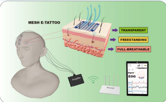 Freestanding Transparent Organic–Inorganic Mesh E-Tattoo for Breathable Bioelectrical Membranes with Enhanced Capillary-Driven Adhesion